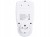 33dadf6974fda3b057ded41afc39df50.jpg