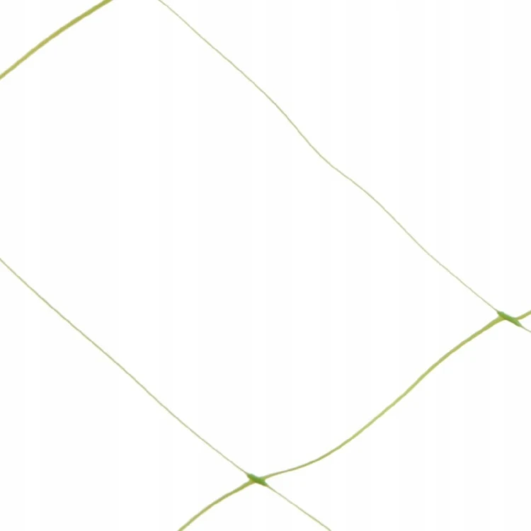 9aa88246dfa8df72c5457dcbe5c44576.jpg