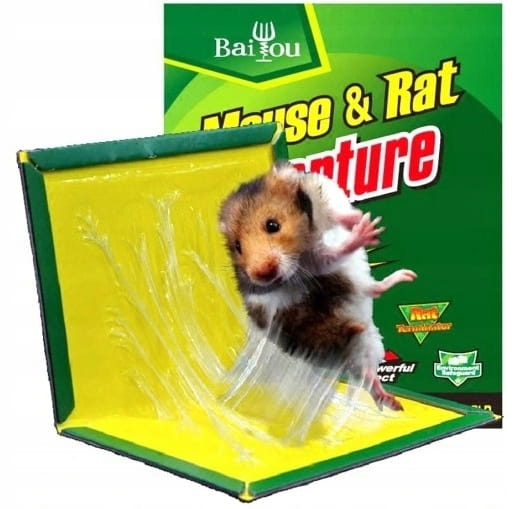 e0b67d50dbd44cd23b354a7974d751ad.jpg