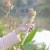 a99a37d60ac2a5846ae1c294781117ac.jpg